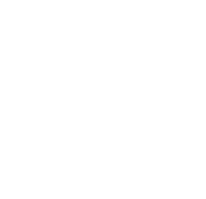Certified Service-Disabled Veteran-Owned Small Business (SDVOSB)